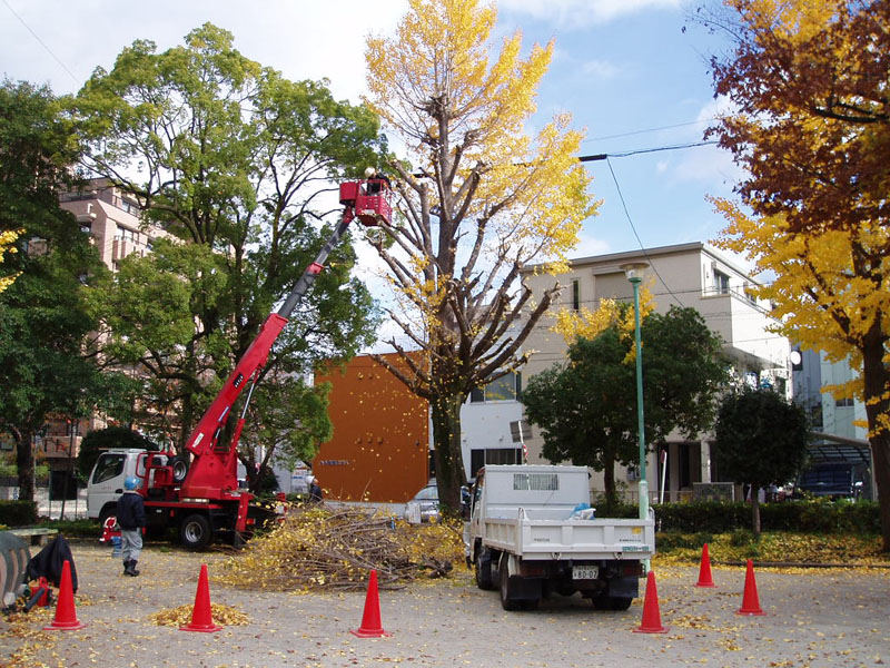 施工事例　維持管理園1